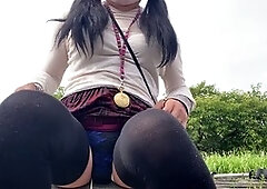 Insert, anal toy