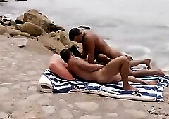 Horny breeders on the beach